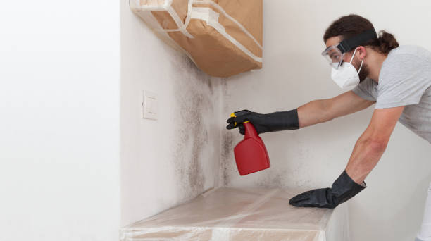 Professional Mold Inspection technician working in Mackinaw City, MI