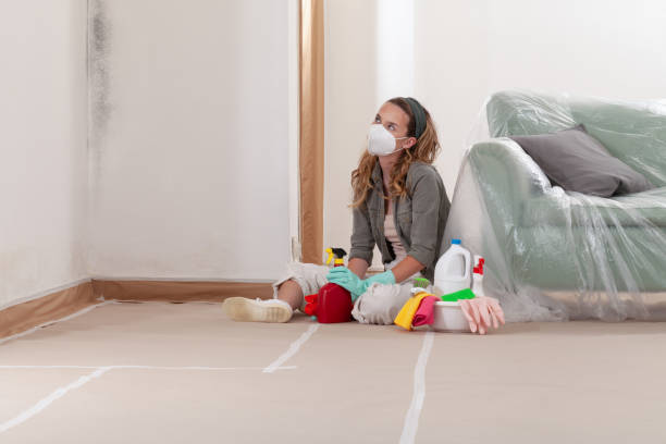 Reliable Mold Inspection contractor in Mackinaw City, MI by WQB Mold Removal